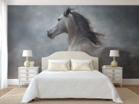 Fotobehang wit paard op donkere achtergrond